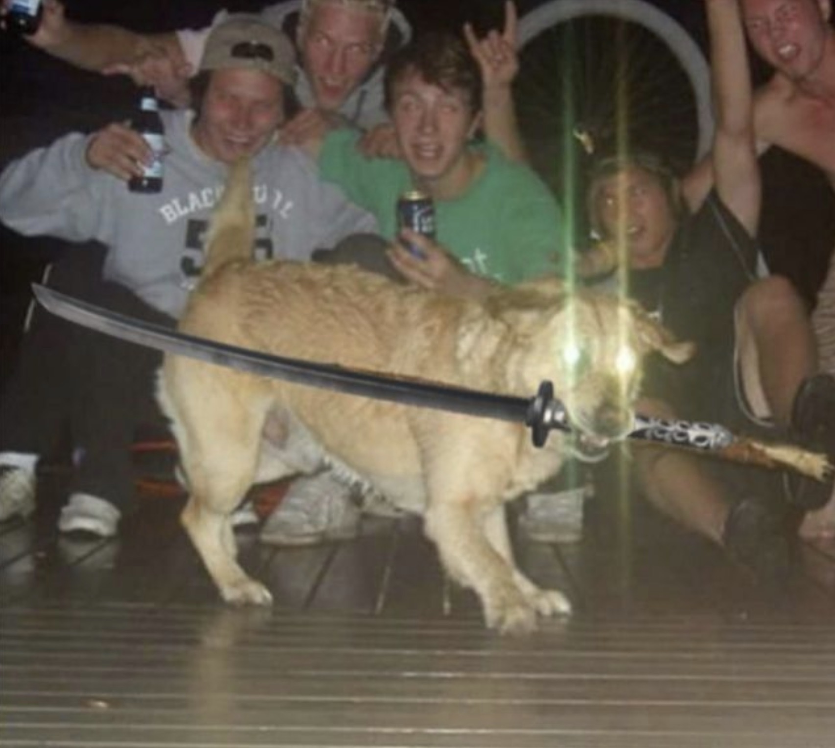 dog holding sword - Blac